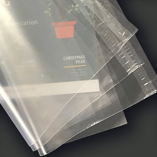 1000 - 230mm x 305mm Clear Poly Envelopes - Bayard Packaging